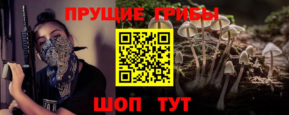 Грязи  Псилоцибиновые грибы прущие грибы  где найти   Вход с VPN 