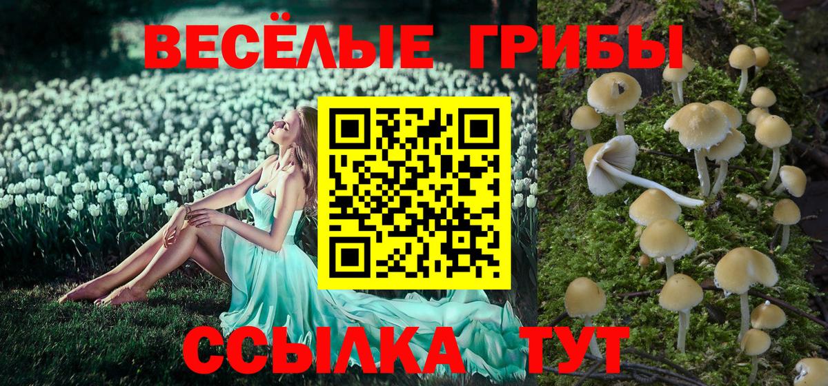 Псилоцибиновые грибы ЛСД Грязи